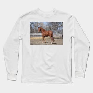 Ridley Long Sleeve T-Shirt